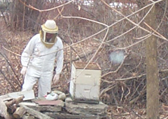 Bee Suit and Hive